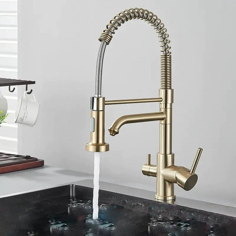 Keukenkraan met mengkraan en sproeikop waterzuiveraar - Goud - Messing image9 ab16796e e703 49d0 b08c f51e2d8c22b7