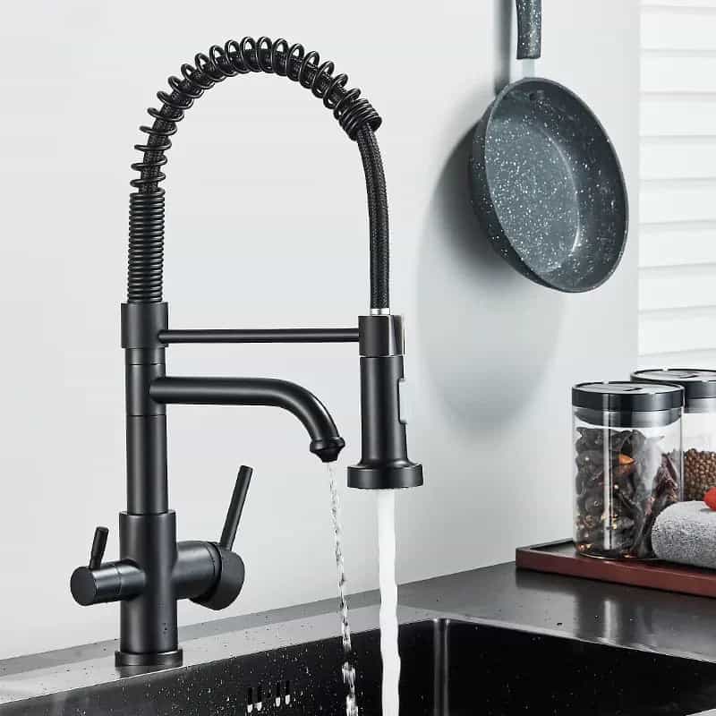 Keukenkraan met mengkraan, uittrekbare sproeier en waterzuiveraar - Zwart - Messing image0 9f2360bd 46ad 4c6e a454 84fcf2c6c166