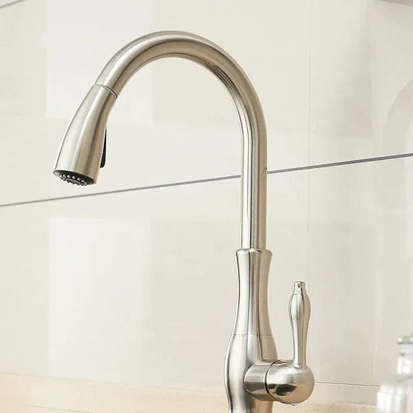 Keukenkraan retro gebogen met flexibele sproeikop - Zilver - Messing 19 f31ce049 f03a 48bf 8432 acb16e76de6f