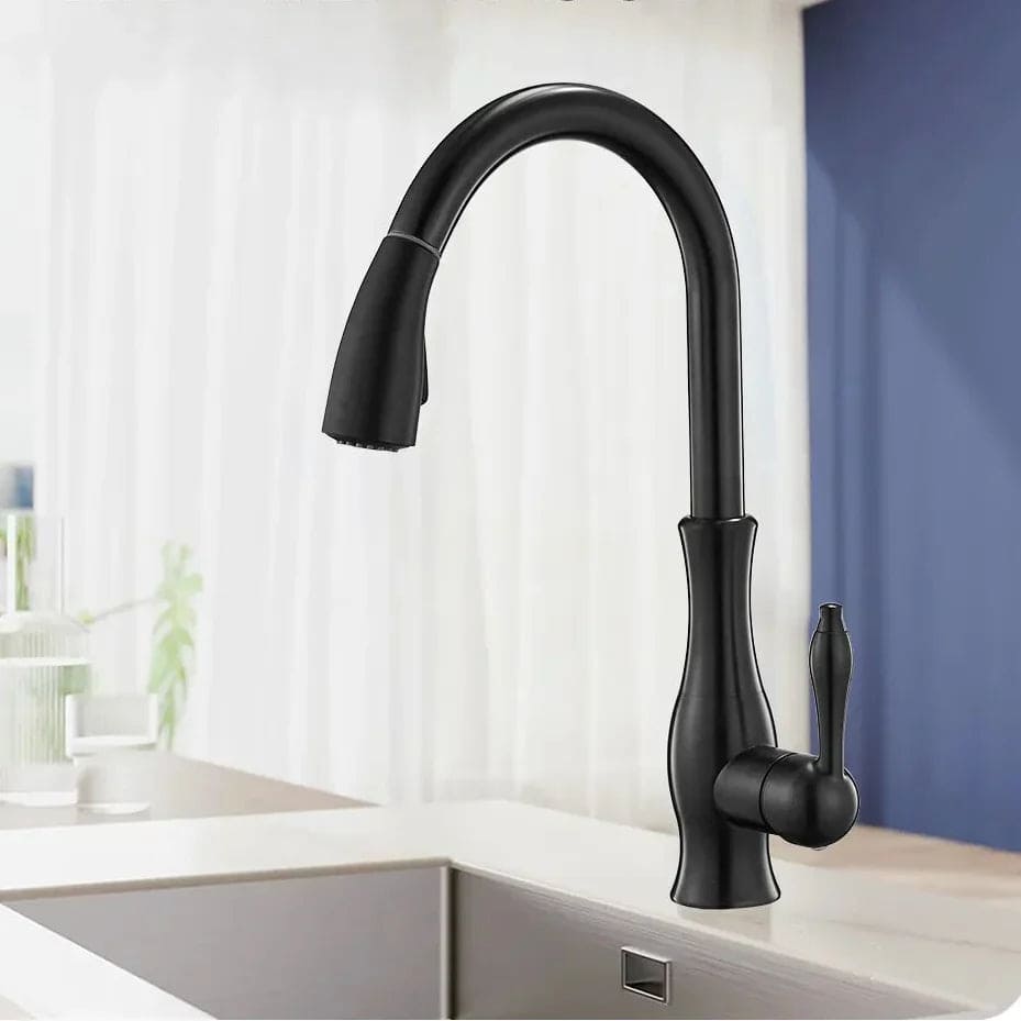 Kraan keuken gootsteen retro afgerond flexibele douchekop - Zwart - Messing 6 c7326e5a 2001 45bb ab8c e07b53df0f20